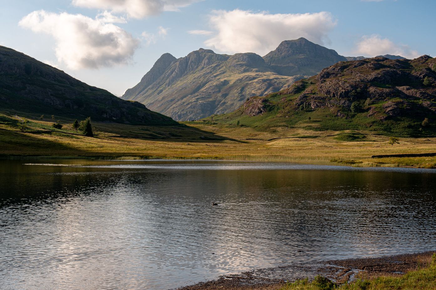 Landscape Sample Photo